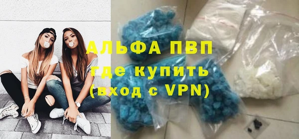 крисы Алексин
