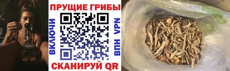 Галлюциногенные грибы Magic Shrooms  omg ссылка  Никольск  как найти наркотики 